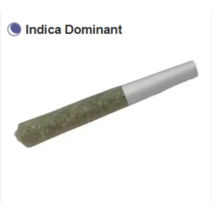 kiwi-berry-pre-roll-1g