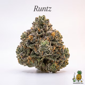 runtz-16-most-popular-2026